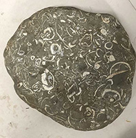 stone_2_IMG_0989